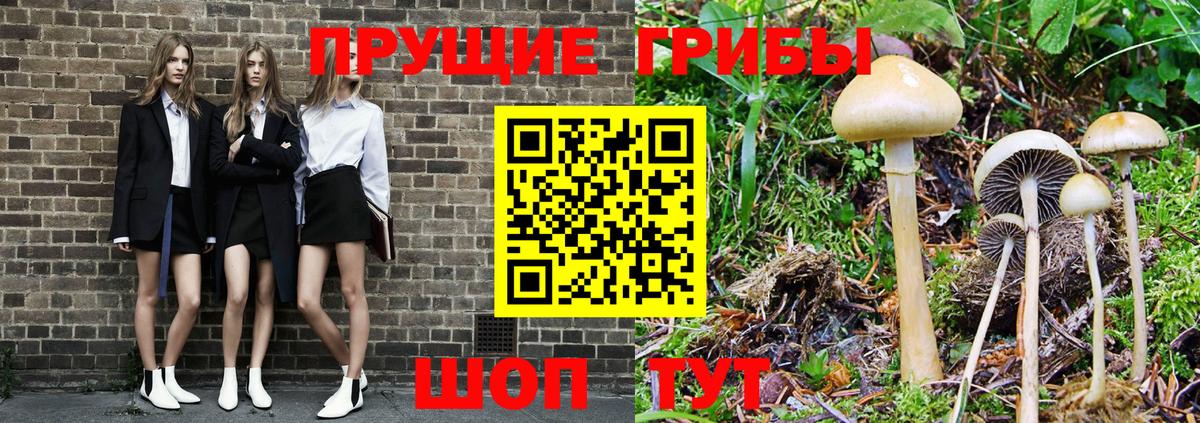 Псилоцибиновые грибы мухоморы Каменка